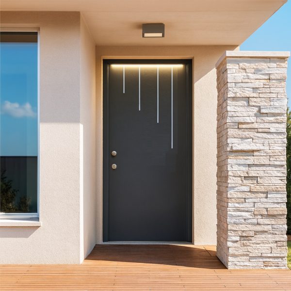 Puerta Entrada Metálica de Seguridad Iluminada DIVA