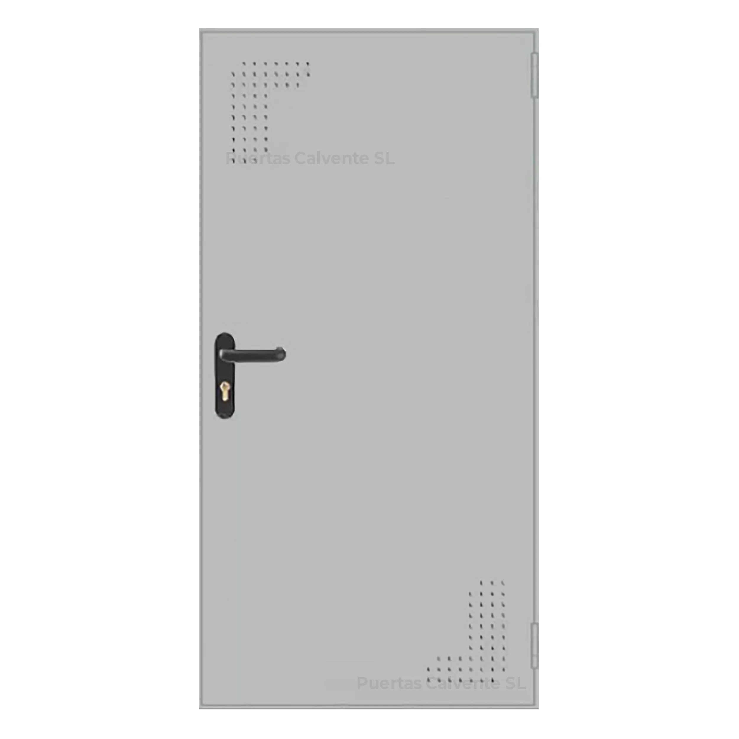 Puerta Galvanizada 1 hoja Altura 210x100 cm RAL 7035 reversible. Puerta de trastero acero galvanizado - Imagen 1