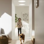 Tubo solar velux cubierta inclinada